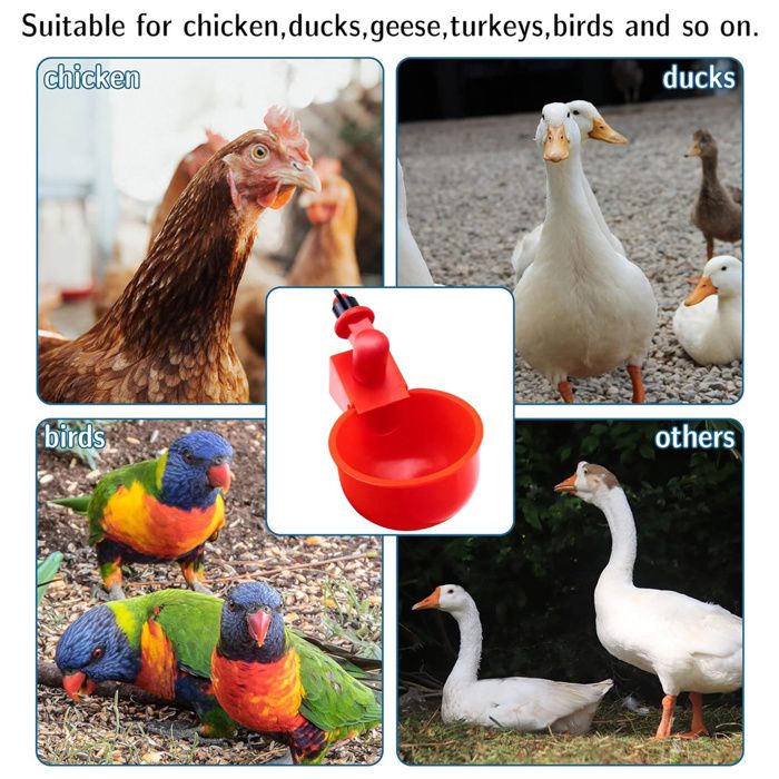 Abreuvoir Automatique Pour Poules (lot De 12) - Avec Foret, Système Gravitaire, Pour Poules, Canards, Oies (alimentation Par Seau)