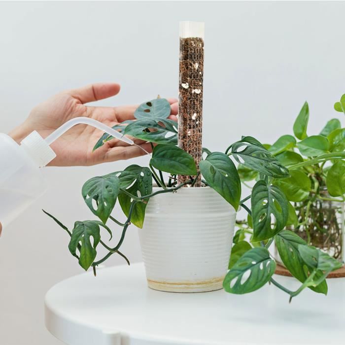 Poteau de mousse en plastique végétal pour piquets de plantes et