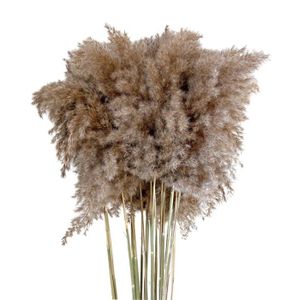 Plantes De Roseau pour La D/écoration De La Maison Remplissage De Vase Boho Herbe de Pampa Artificielle Grand 43 Pouces 110cm (Noir) 3 Tiges D/écor dherbe De Pampa Haut Plumes De Roseau Faux