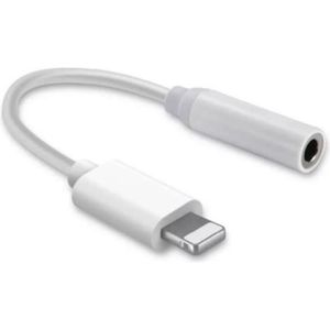 USB-C Adaptateur - avec la foudre câble USB-C Ntech (1 mètre) Convient pour  Iphone 13- | bol