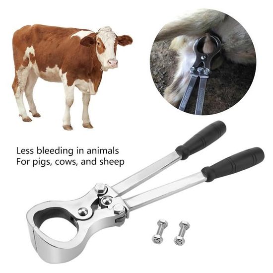 Pince De Castration Pour Chien: Pince De Castration Pour Animaux – SCLH