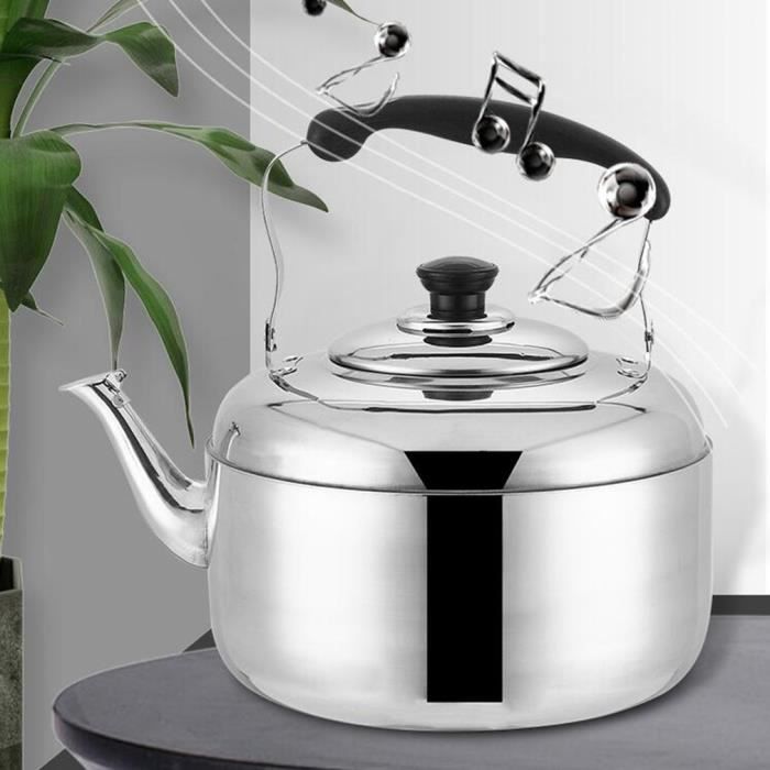 Bouilloire à sifflet inox 5L