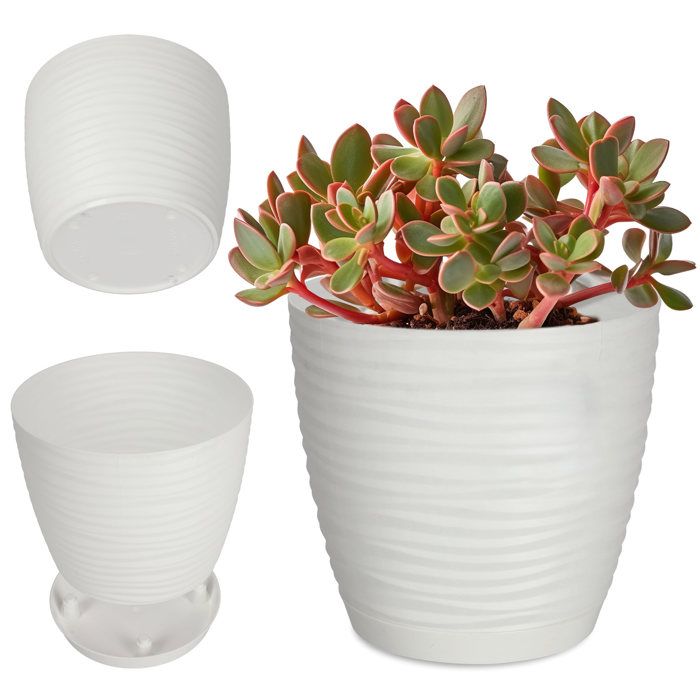 KADAX Pot De Fleurs En Plastique Avec Soucoupe, Pot De Plante Pour Une Décoration Florale Moderne Dans L'espace Interieur (Lot De 3 : Blanc, 20 Cm