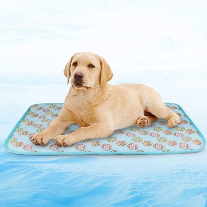 Tapis rafraîchissant pour chien/chat – 50x70 cm effet frais instantané
