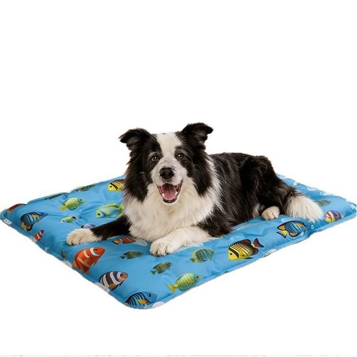 Tapis rafraichissant chien 60x90 cm motif petit poisson – À remplir deau 21-25L – Fraîcheur naturelle