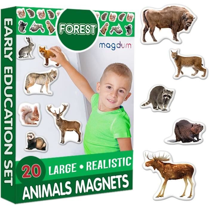 Magnet frigo Enfant MAGDUM Animaux de la Forêt magnetiques FOTO - 20 Magnet  Enfant - Frigo Jouet Enfant 3 Ans - Aimant Frigo E[13] - Cdiscount Maison