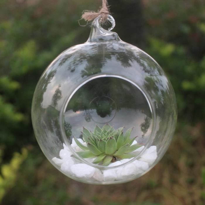 Vase Suspendu En Verre œuf : Décoration Transparente Pour Fleurs Séchées Ou Plantes, Style Bohème Et épuré