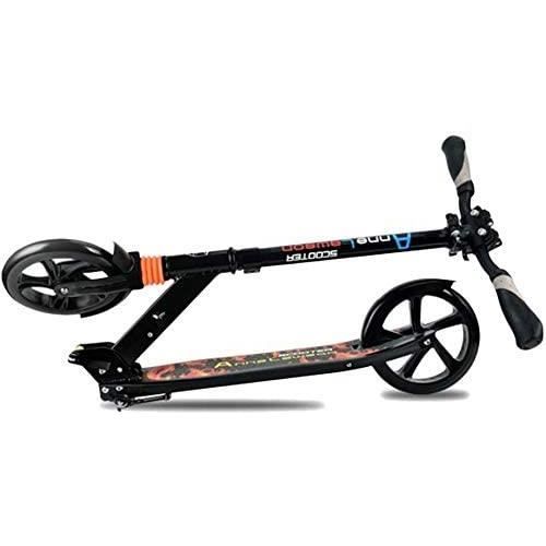 Trottinette Grandes Roues Adult 250 mm Frenzy