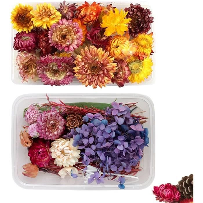 Fleurs Séchées Naturelles 50 Pièces - Mini Bouquets Secs Pour DIY Résine, Bougies, Déco Bohème - 12