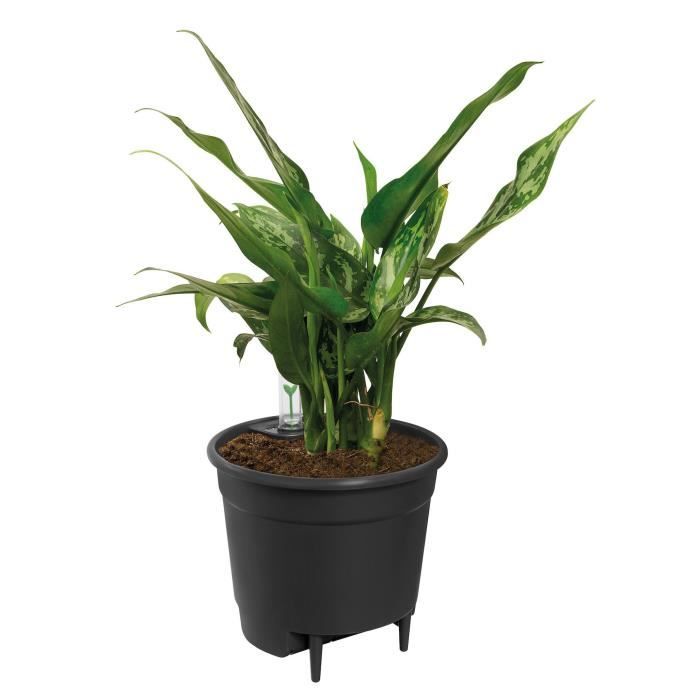 Elho Self-watering Insert Pot à fleurs 33 - Noir - Ø 33 x H 31 cm - intérieur accessoires - 100% recyclé