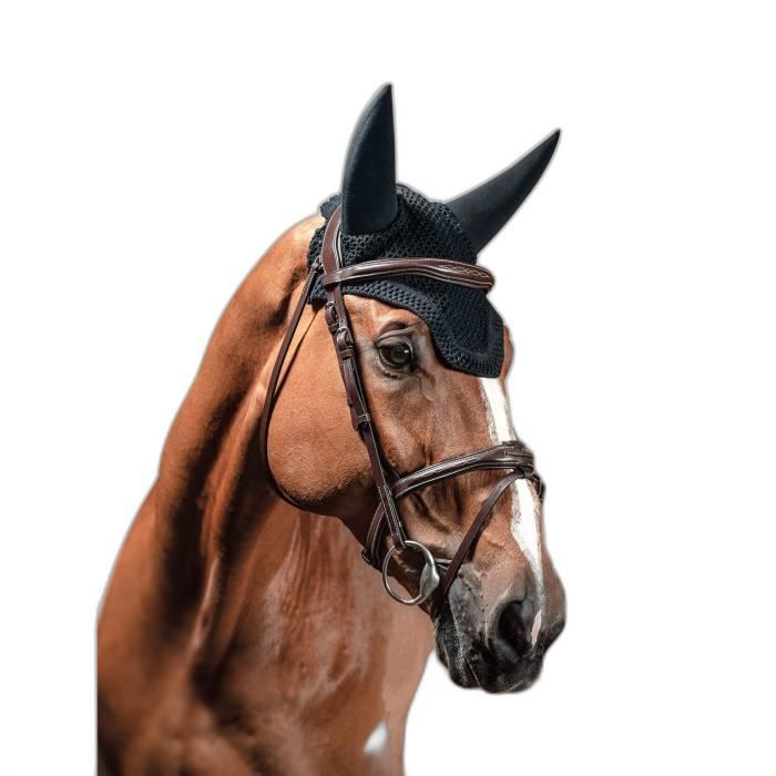 Couverture Equiline Rayner 200g - Equiline - Equipement équitation