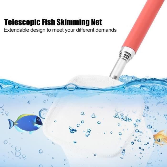 Filet De Pêche Carré Pour Aquarium, 1 Pièce, Filet De