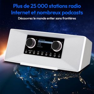 MEDION P66098 Radio de Chantier Dab+ avec Fonction Bluetooth, USB, AUX