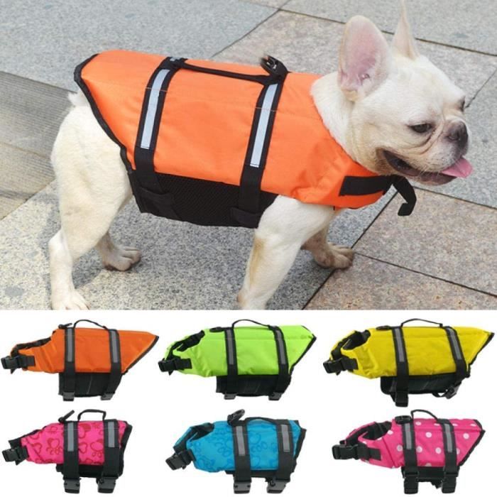 Gilet de sauvetage hot sale pour bouledogue francais