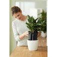 Elho Self-watering Insert Pot à fleurs 33 - Noir - Ø 33 x H 31 cm - intérieur;accessoires - 100% recyclé-5