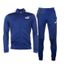 ensemble survetement puma homme