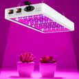 2000W Lampe Horticole LED Croissance Floraison à 312 LED,Lampe pour Plante Spectre Complet,Grow Light pour Plantes Fleurs et Légu262-0