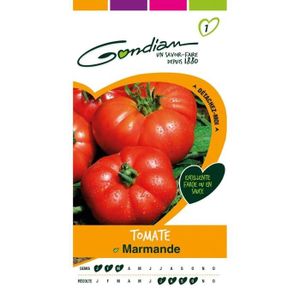 GRAINE - SEMENCE GONDIAN - Graines Légumes : Semences Tomate Marman