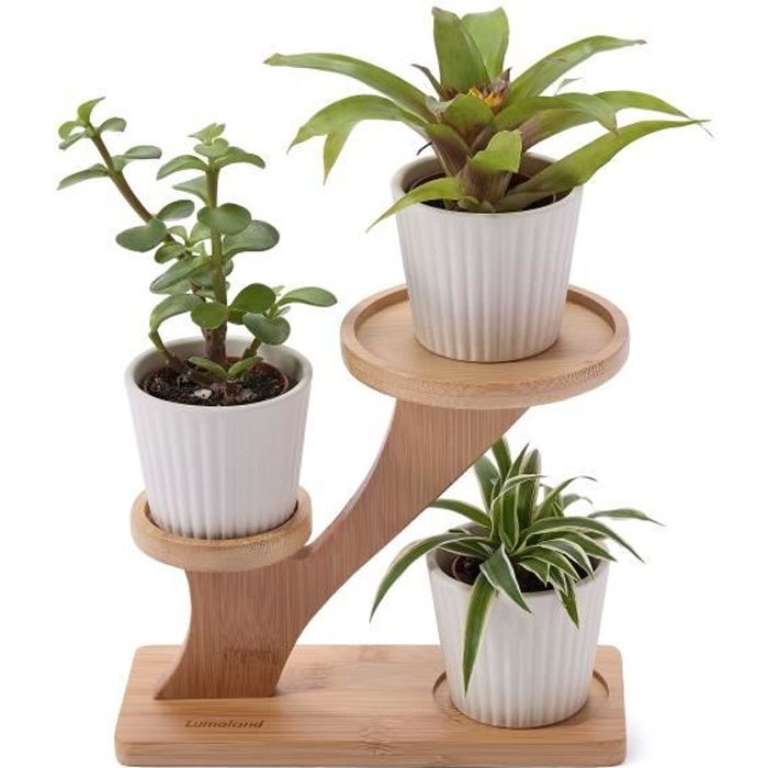 Étagère en bambou pour plantes Porte-plantes pour l'appartement et l'extérieur - Jardinière 20 x 15 x 16,5/7 cm Coloris nature