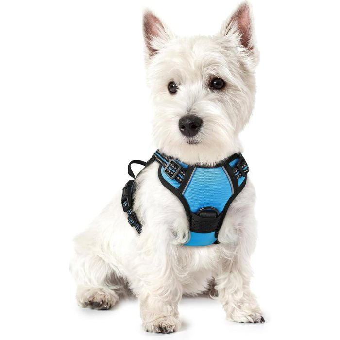 Comparer les prix de Harnais Chien Anti Traction Bleu Clair XS Harnais Chien avec Poignée Facile à Mettre Gilet Réglable Réfléchissant pour Petit Chien