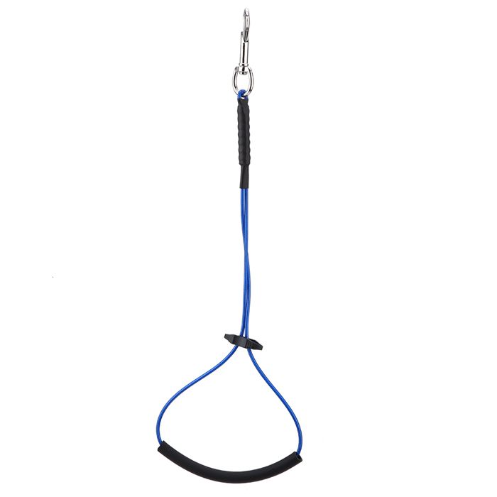 Cerceau de toilettage simple pour chien et chat pour table de bain pour animaux de compagnie