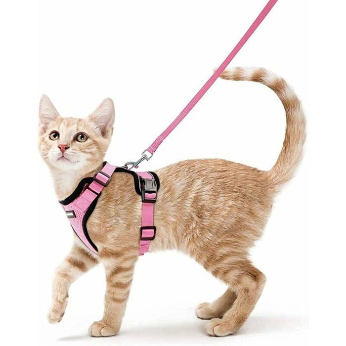 Comparer les prix de Harnais Chat Petit Chien Laisse Harnais Chaton Réglable Rose XS Collier Harnai Chat Refléchissant Gilet Respirant pour L Étiquette