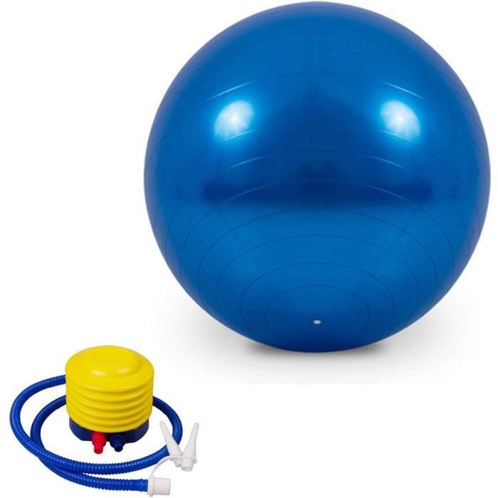 Swiss Ball avec Pompe à air Ballon Grossesse Chaise Ballon Ballon de Gym Ballon Pilates Ballon Fitness 65 cm Anti-éclatem