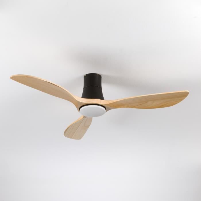 Ventilateur de Plafond avec Lumière 3 Pales 56W 6 Vitesses Dakota Dayron Noir - 7H Dayron