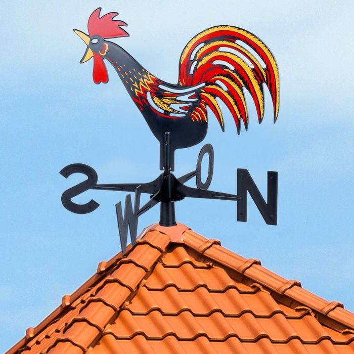 CANNE DITE DE Maquignon Avec Toise Pour Mesure De Hauteur Au Garrot Du