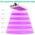 2000W Lampe Horticole LED Croissance Floraison à 312 LED,Lampe pour Plante Spectre Complet,Grow Light pour Plantes Fleurs et Légu262-2