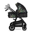 LIONELO Amber - Poussette bébé 3en1 - Jusqu'à 22Kg - Inclu nacelle, cosy, siège auto, sac et accessoires - iSize - Dreamin-2