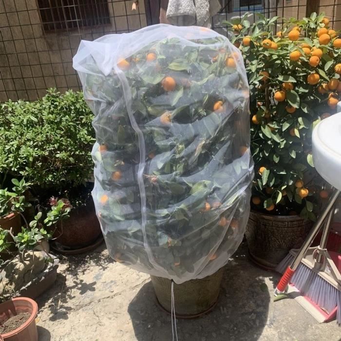 45x50cm Housse de gel pour plantes de jardin, housse de protection