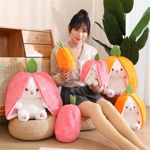 Coussin de chat avec sac à fermeture éclair, oreiller de collation pudding, jouets animaux en peluche, coussin de décoration pour G D8J7  15