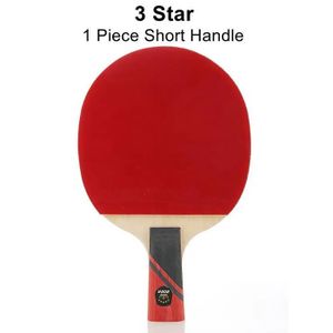 RAQUETTE DE TENNIS raquette de Tennis professionnelle,manche court et Long,Double Face,boutons en caoutchouc,avec étui- 3 Star 1 Short