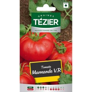 GRAINE - SEMENCE Sachet Graines - Tezier - Tomate Marmande V.R - Sa