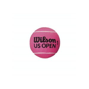 FILET DE TENNIS Balle Wilson US Open 5