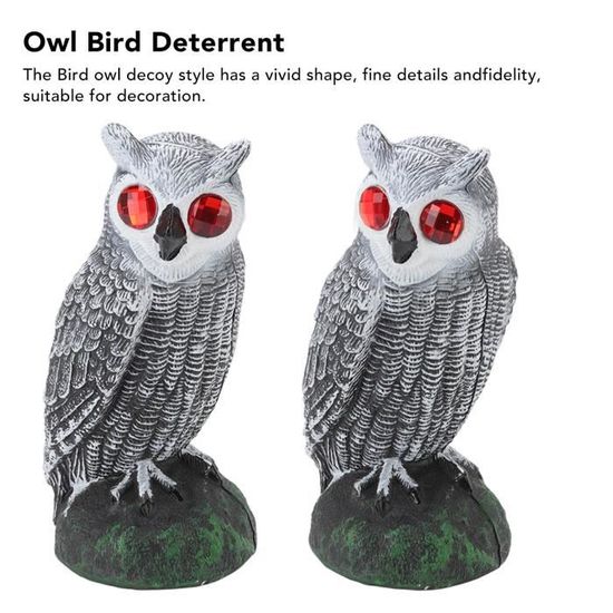 WOH - Hibou pour effrayer les oiseaux Hibou oiseau dissuasif jardin ...