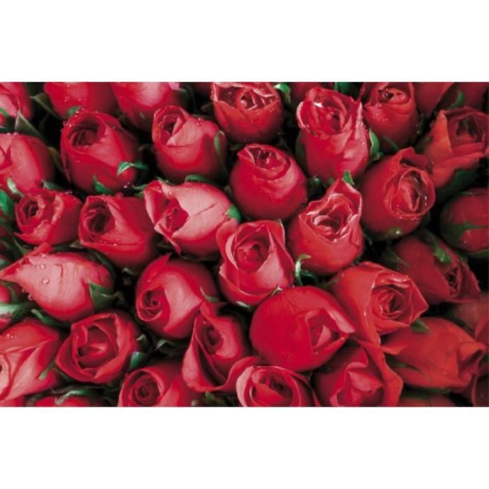 Roses Poster Reproduction - Roses Rouges, Mer De Fleurs (80 x 120 cm) -  Cdiscount Maison