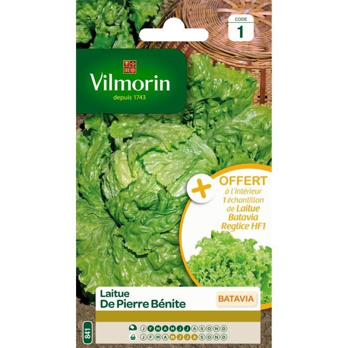 VILMORIN Sachet graines de Laitue Batavia de PIERRE BENITE