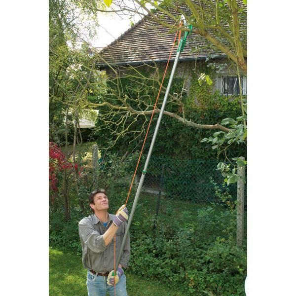 Echenilloir telescopique scie à branche 2.50 m