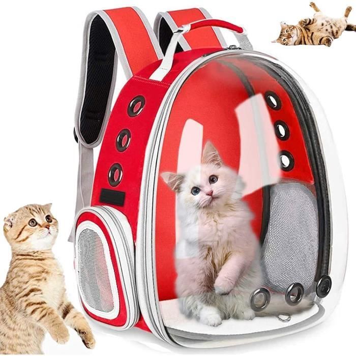 Sac à Dos Transporteur Pour Chat Et Petit Chien - Pliable, Grande Capacité Avec Coussin Amovible - Pour Randonnée Et Voyage
