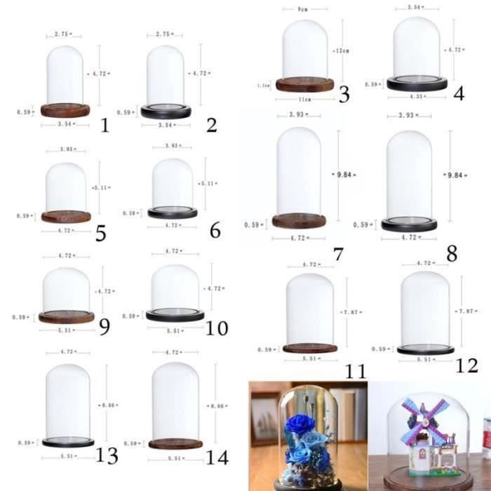 Dôme En Verre Transparent Avec Base - Cloche De Protection Pour Plantes, Objets De Décoration - Diamètre 20 Cm