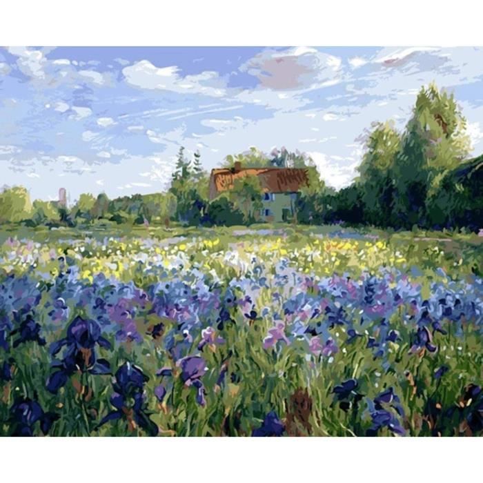 Cadre fleurs peinture par numéros pour adultes peint à la main bricolage numéros peinture toile dessin cadeau Art maison 40x50cm acheter à prix bas - livraison gratuite, avis réels avec des photos