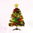 1 ensemble de luxe durable allumé 50cm arbre de Noël artificiel LED lumières multicolores pour la  SAPIN DE NOEL - ARBRE DE NOEL-1