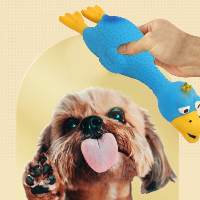 Lot De 2 Débardeurs Rigolos Pour Chien – Cochon Et Panda, Avec Anneau En D, Taille L