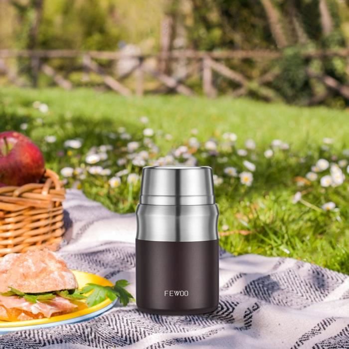 Zyntora Conteneurs Isothermes Pour Aliments Chauds - Boîtes Repas Pour Adultes,Résistante Aux Odeurs Étanche Micro-Ondable En Acier Inoxydable Bol Compartimenté Avec Cuillère Baguettes Pour Plage