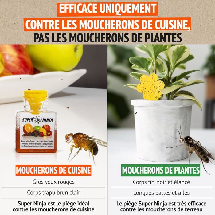 MARGAUX LONNBERGPièges Anti Moucherons d'Intérieur Cuisine Lot de 2 — free download