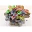 Version 2 Colore Heuchera Semis 0 Pieces Corail Cloche Fleur Bonsai Plantes Bricolage Belle Plante Verte Fleurs Pour Jardin Achat Vente Graine Semence Version 2 Colore Heuchera Cdiscount Якщо написати забули, зберігайте чек про оплату до відправки. cdiscount com