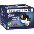 FELIX Tendres Effilés en Gelée Viandes-Poissons - 24 x 85 g - Sachets fraîcheur pour chat adulte-0