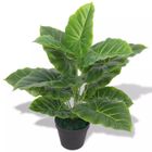 DÉCOSHOP26 Plante taro artificielle avec pot 45 vert